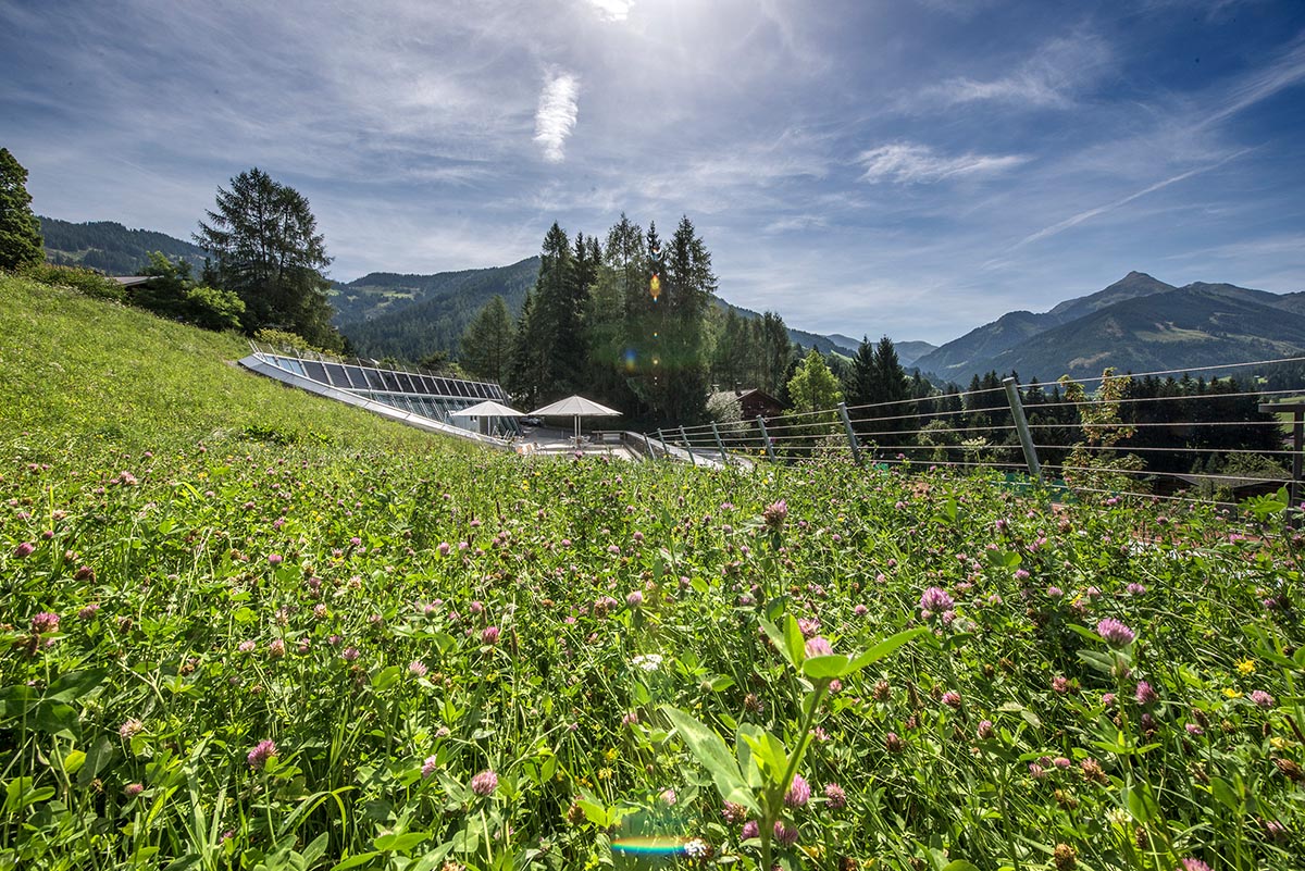 Congress Centrum Alpbach, Green Meeting, Tirol, Österreich, copyright Senfter